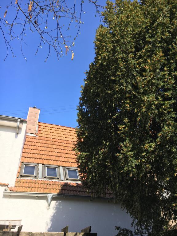 Edingen-Neckarhausen Pension Haus Baron 2 Friedrichsfeld מראה חיצוני תמונה